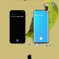 Siri 互動體驗海報