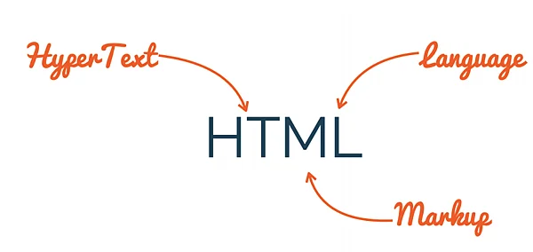 dailybiojuan-webdesign-html-visual-2