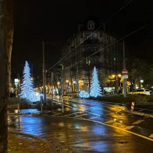 dailybiojuan-germany-life-visual-119