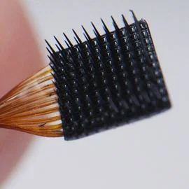 dailybiojuan-bci-company-visual-6