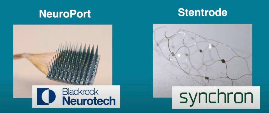 dailybiojuan-bci-company-visual-8