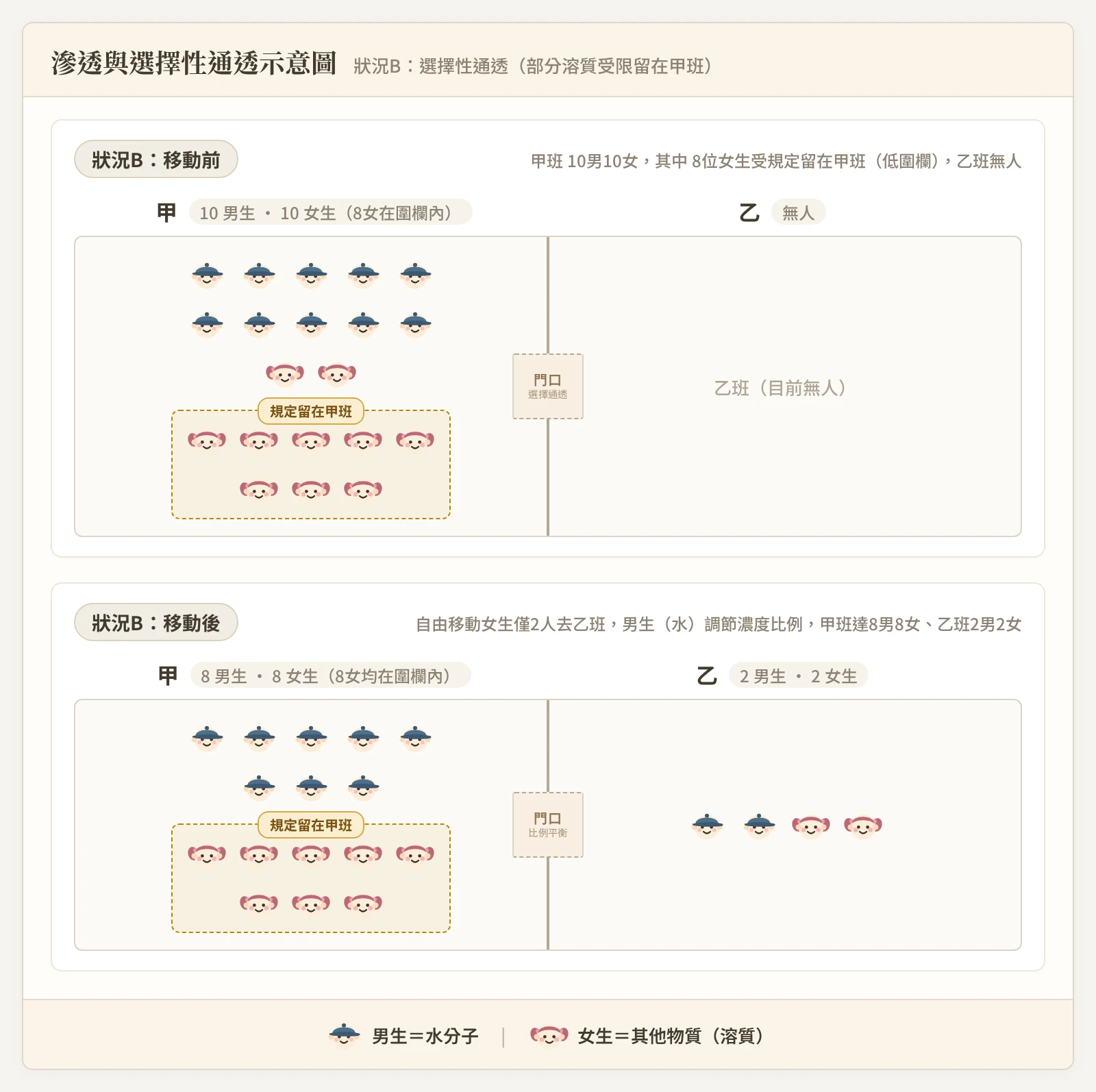 擴散作用狀況B選擇性通透示意圖