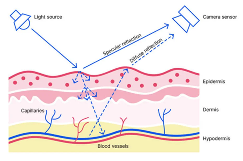 dailybiojuan-rppg-visual-2